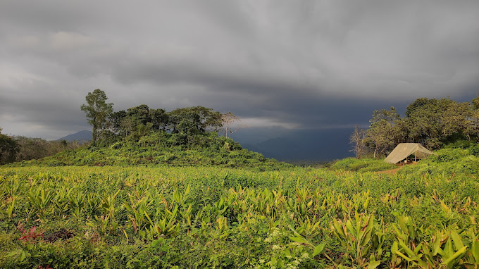 Aralam Wildlife Sanctuary Palakkad