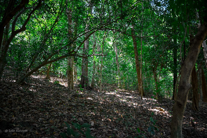Aralam Wildlife Sanctuary Palakkad  entry details