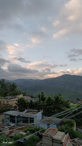 Attappadi Reserve Forest, Palakkad