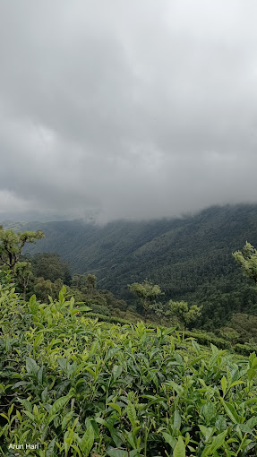 Attappadi Reserve Forest, Palakkad entry details