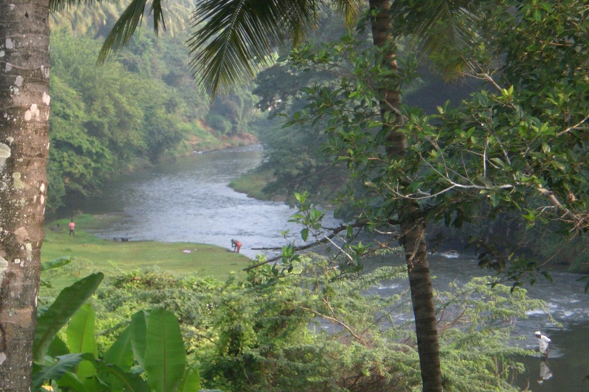 Images of Palakkad