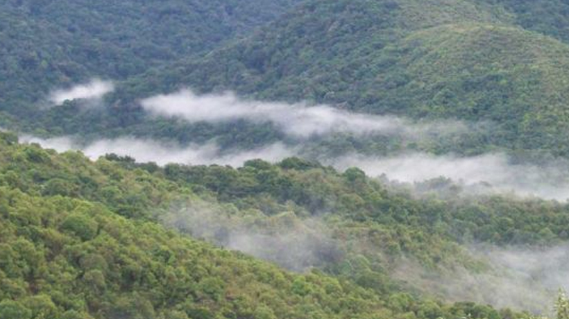 Attappadi Reserve Forest, Palakkad attraction