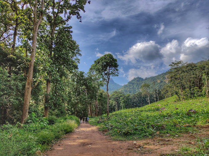 Dhoni Waterfalls, Palakkad destination