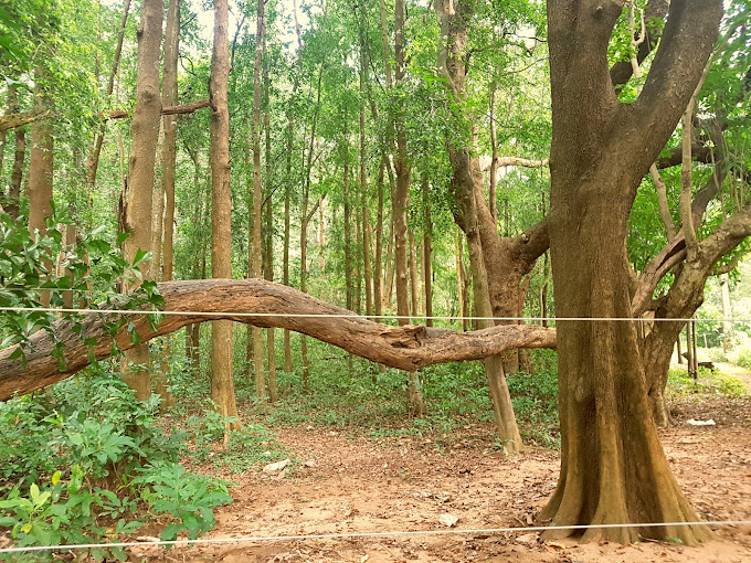 Images of Palakkad