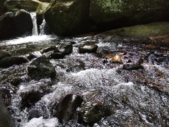 Dhoni Waterfalls, Palakkad view