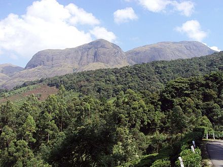 Elivai Mala, Palakkad Transpotation