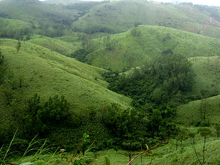 Elivai Mala, Palakkad