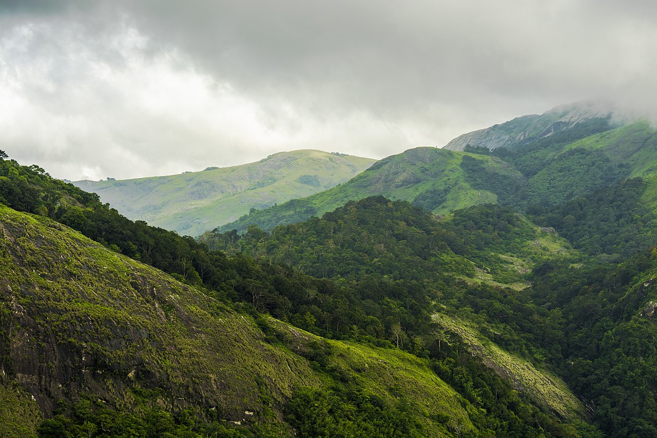 Images of Palakkad