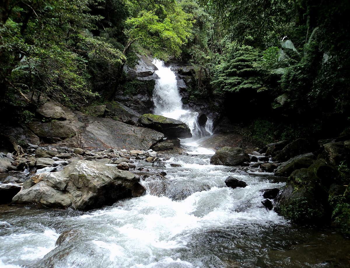 Meenvallam Waterfalls, Palakkad Transpotation