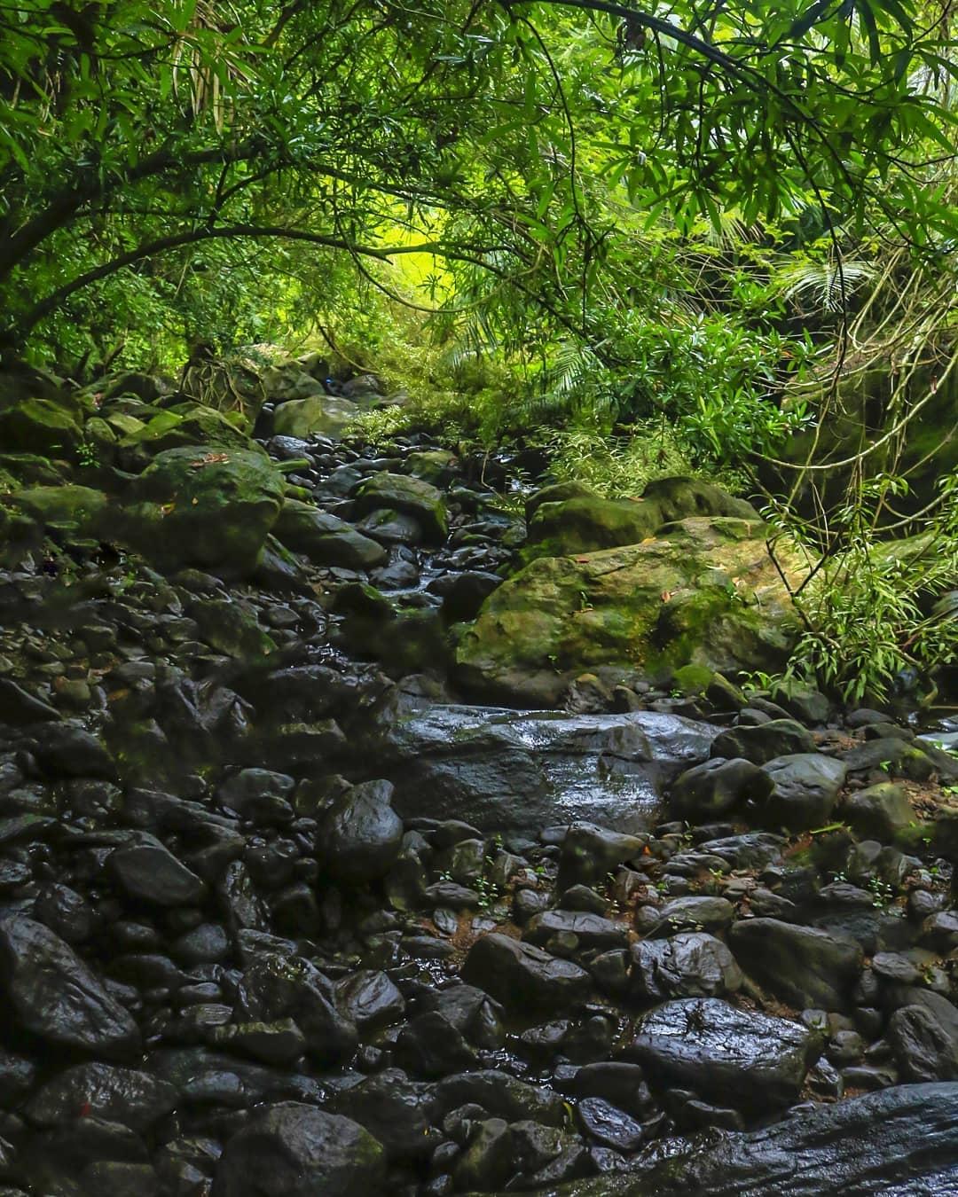 Meenvallam Waterfalls, Palakkad