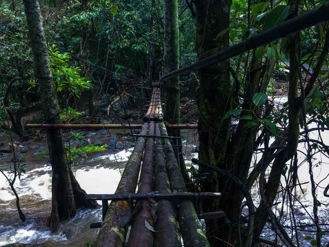 Meenvallam Waterfalls, Palakkadentry details