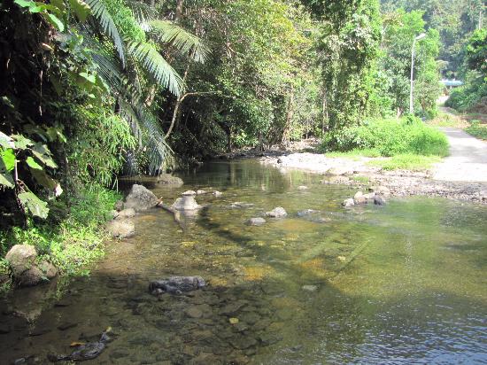 Images of Palakkad