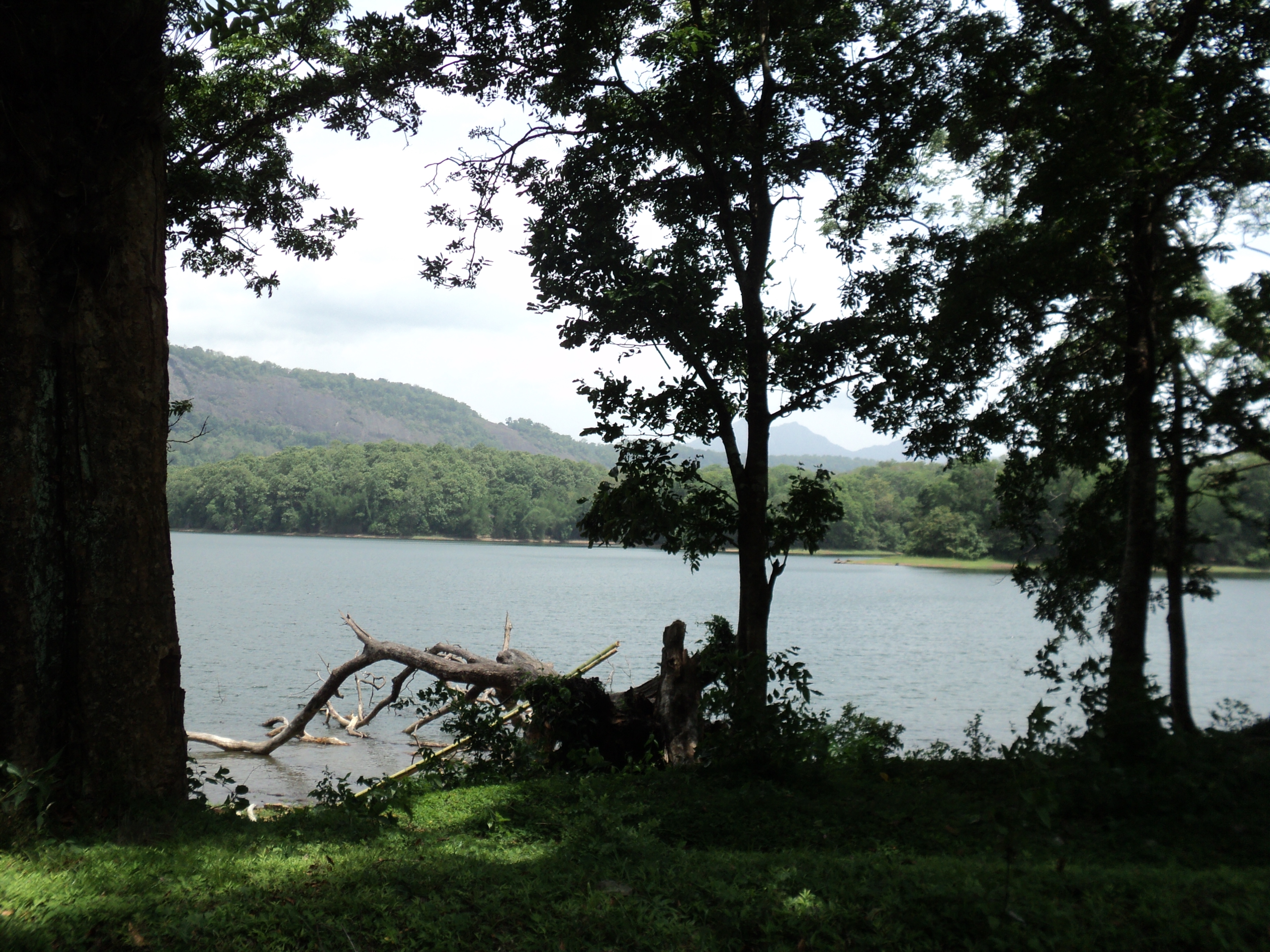 Parambikulam Dam, Palakkad Transpotation