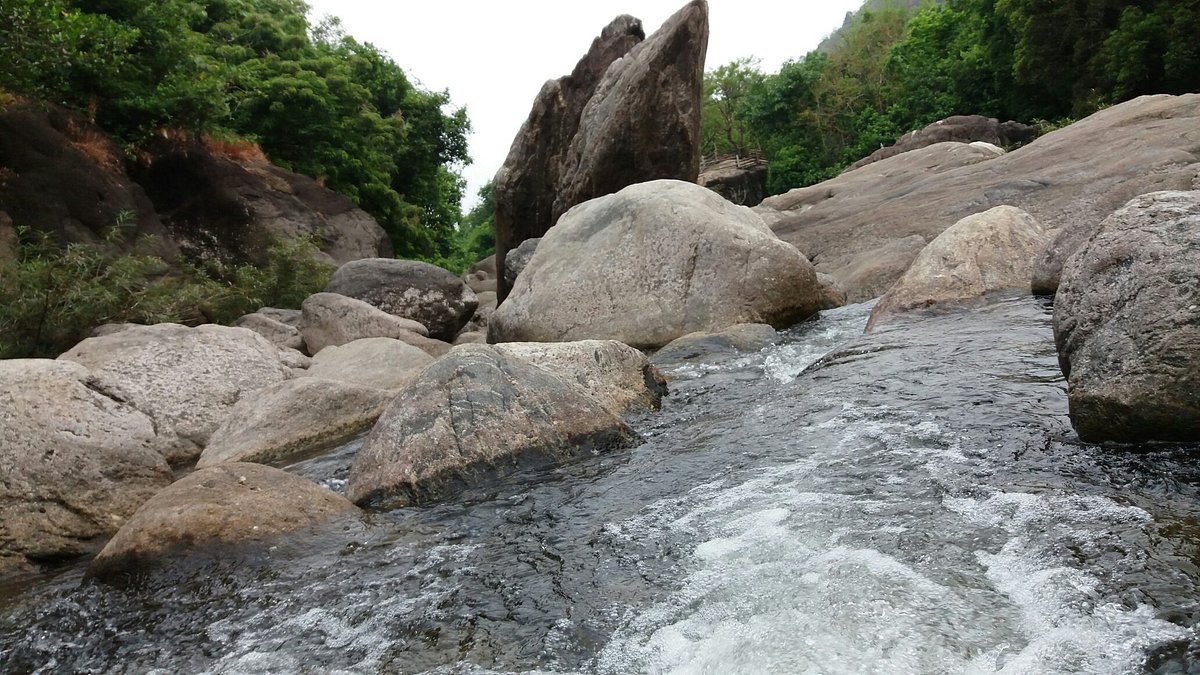 Pathrakadavu Waterfalls  Palakkad Transpotation