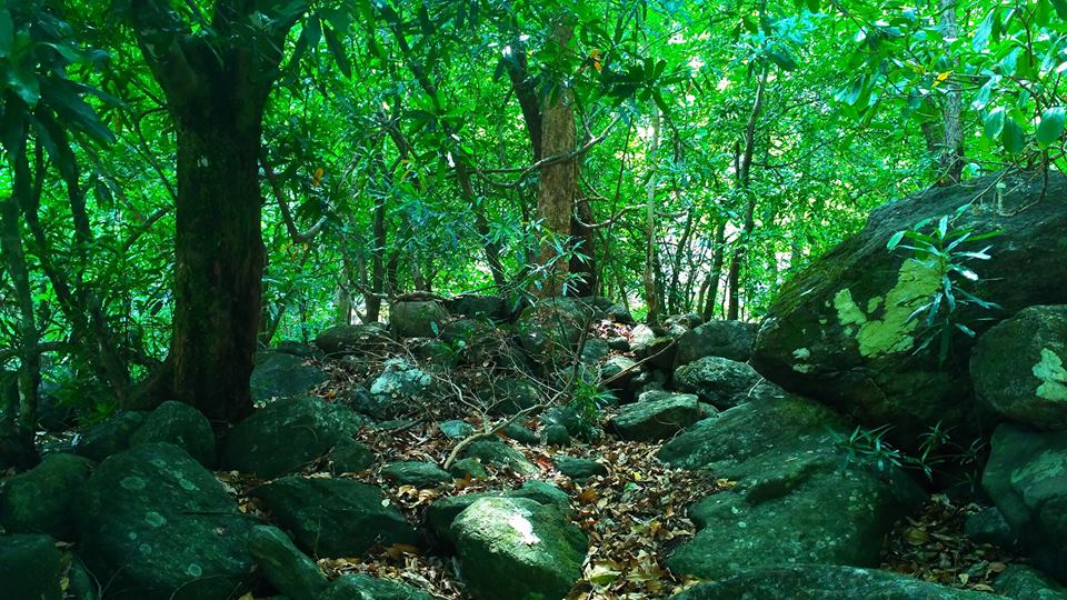 Pathrakadavu Waterfalls  Palakkad best time to visit