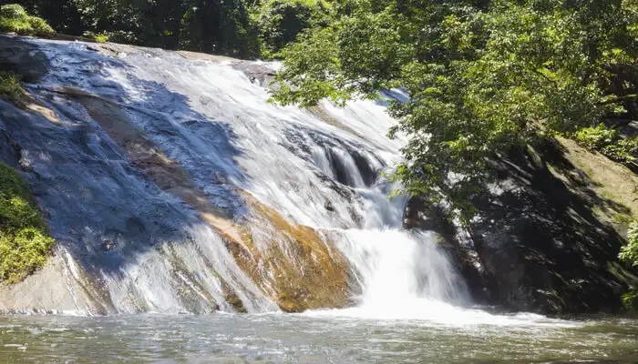 Pathrakadavu Waterfalls  Palakkad  entry details