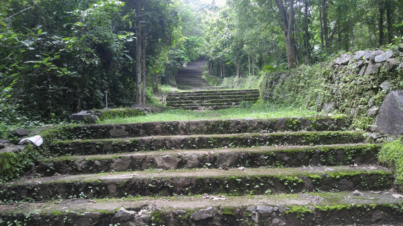 Rayiranellur Mala, Palakkad Transpotation