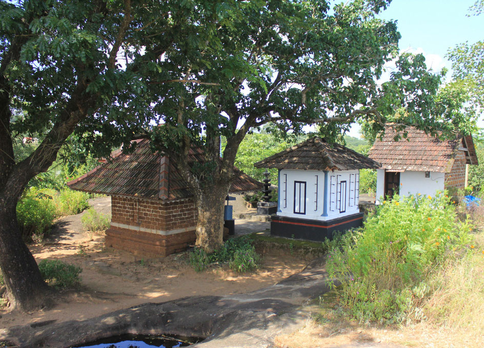 Rayiranellur Mala, Palakkad blend of natural beauty