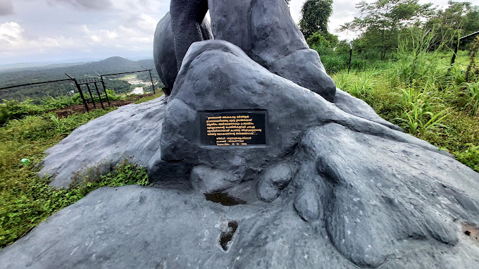 Rayiranellur Mala, Palakkad view