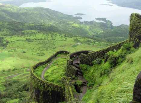 Silent Valley National Park,Palakkad last undisturbed forest