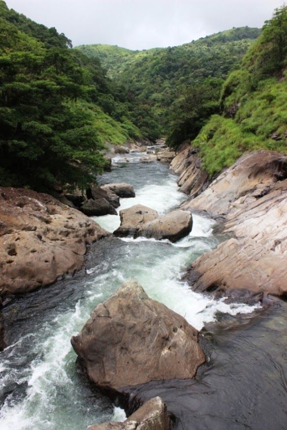 Silent Valley National Park,Palakkad entry details