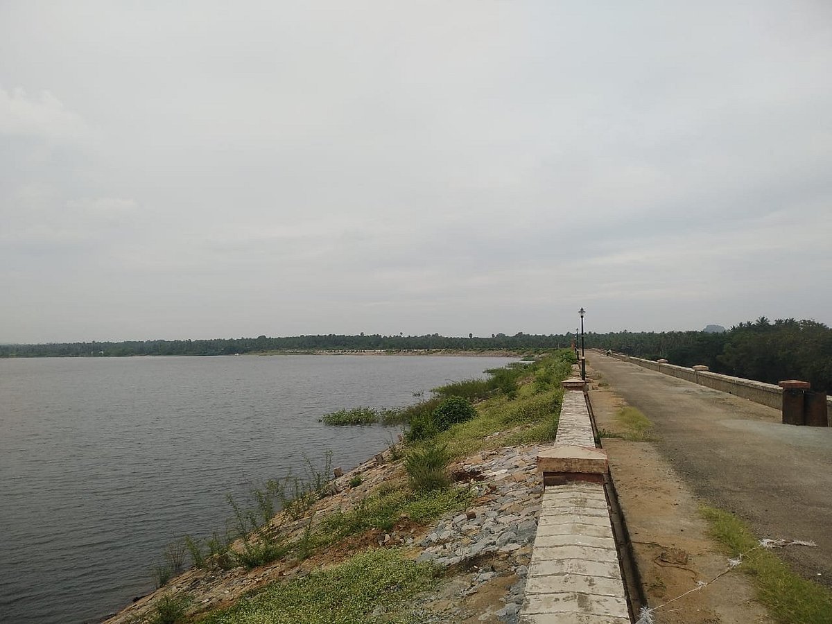 Walayar Dam Palakkad Transpotation