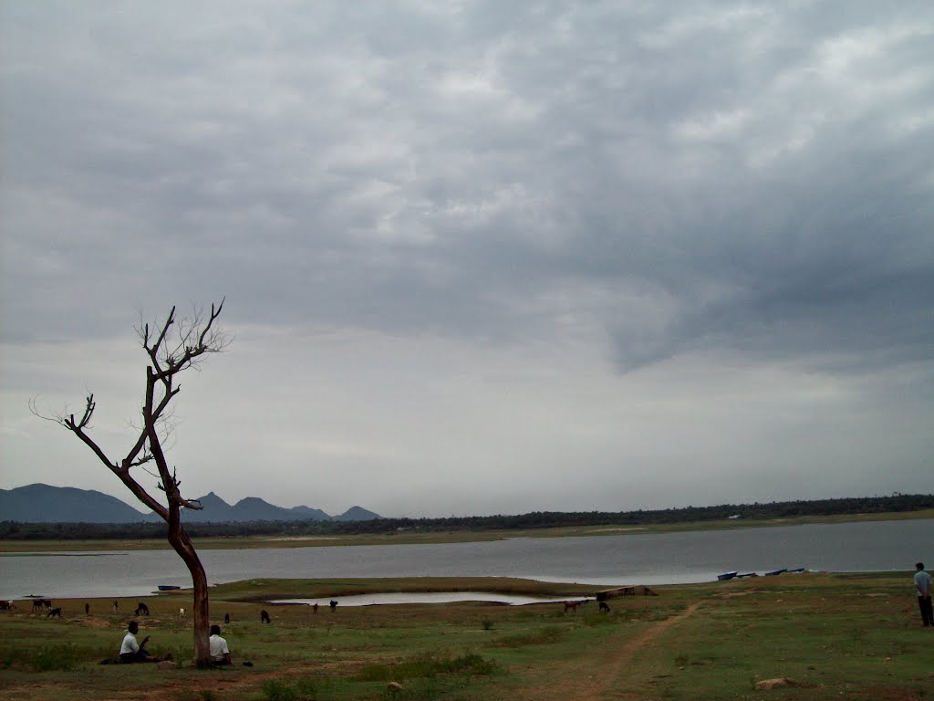 Walayar Dam Palakkad view